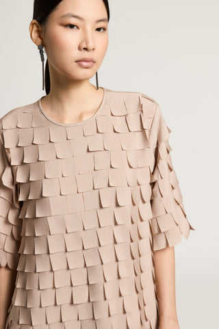 Chiffon dress with embroidered fringes