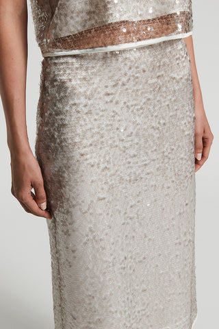 Translucent sequin net midi skirt