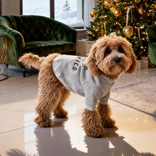 Pet dress in viscosa