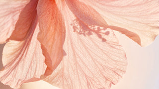 Fragrances