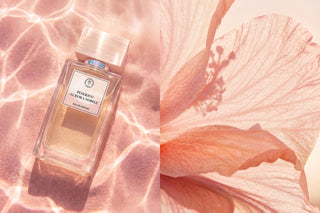 Aurora Nobile Fragrance